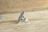 Carolyn Pollack Sodalite Ring - Size 8.25